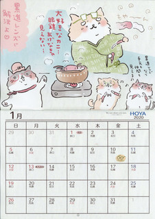 HOYAJ_[2020.jpg