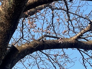 IMG_5179.jpg