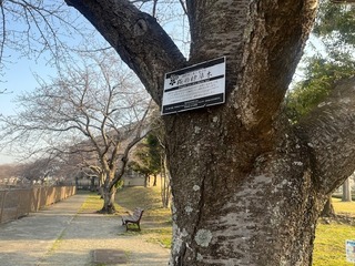 image0.jpeg